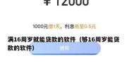 满16周岁就能贷款的软件（够16周岁能贷款的软件）